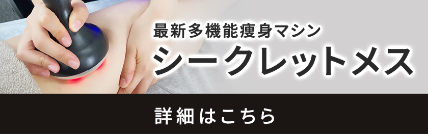 シークレットメスについて